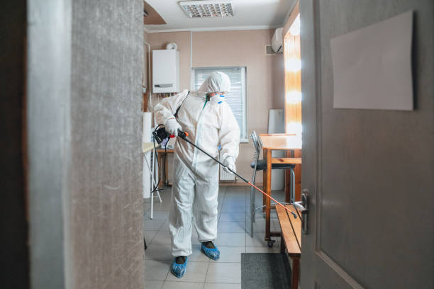 Best Post-Remediation Verification Testing  in Soperton, GA