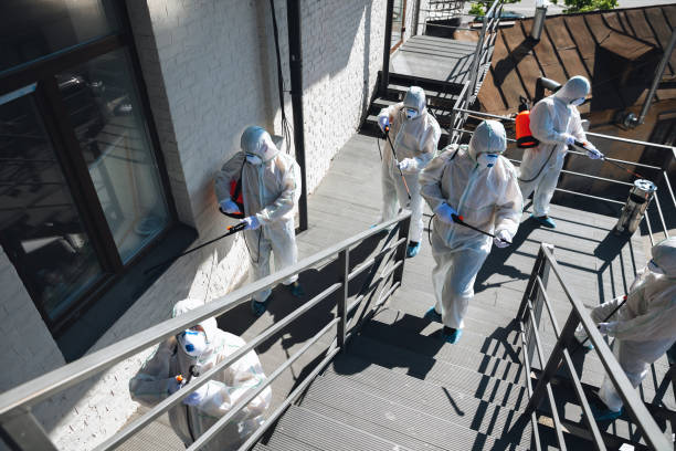  Soperton, GA Mold Removal Pros
