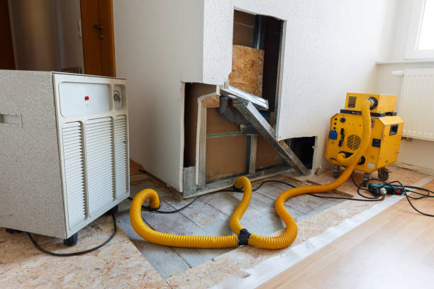 Best Residential Mold Inspection & Testing  in Soperton, GA