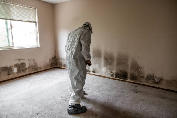 Best Mold Remediation for Healthcare Facilities  in Soperton, GA